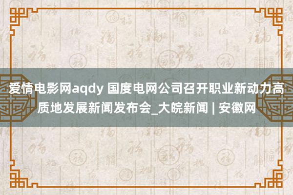 爱情电影网aqdy 国度电网公司召开职业新动力高质地发展新闻发布会_大皖新闻 | 安徽网