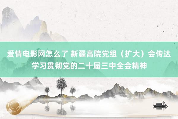 爱情电影网怎么了 新疆高院党组（扩大）会传达学习贯彻党的二十届三中全会精神