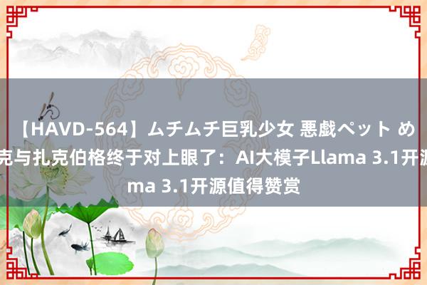 【HAVD-564】ムチムチ巨乳少女 悪戯ペット めぐみ 马斯克与扎克伯格终于对上眼了：AI大模子Llama 3.1开源值得赞赏