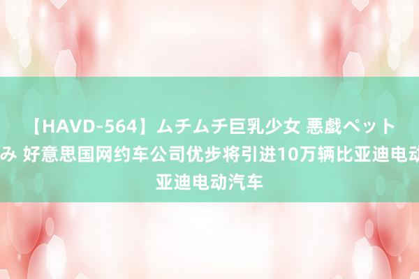 【HAVD-564】ムチムチ巨乳少女 悪戯ペット めぐみ 好意思国网约车公司优步将引进10万辆比亚迪电动汽车