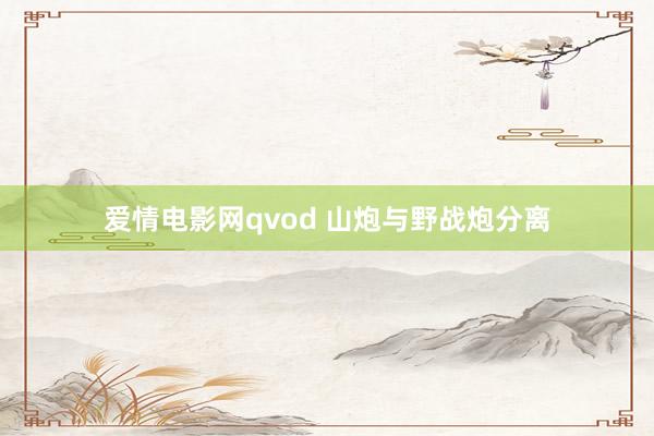 爱情电影网qvod 山炮与野战炮分离