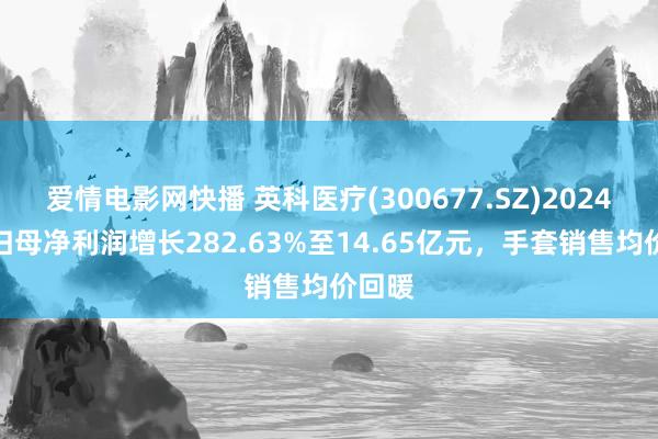 爱情电影网快播 英科医疗(300677.SZ)2024年度归母净利润增长282.63%至14.65亿元，手套销售均价回暖