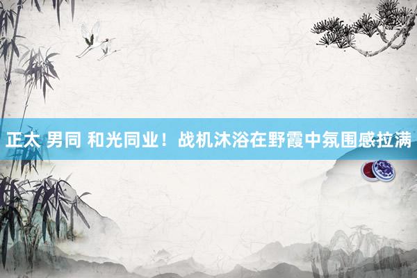 正太 男同 和光同业！战机沐浴在野霞中氛围感拉满