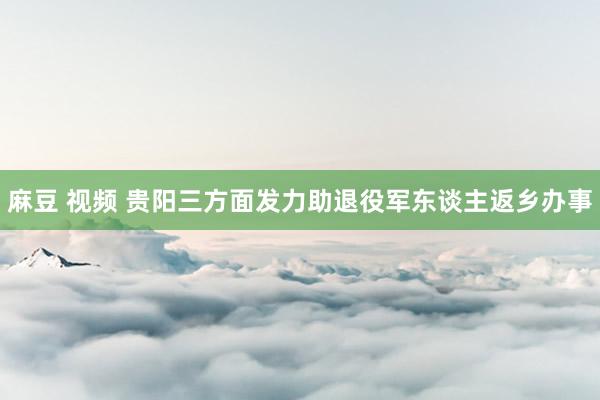 麻豆 视频 贵阳三方面发力助退役军东谈主返乡办事