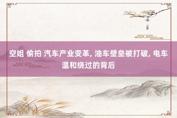空姐 偷拍 汽车产业变革, 油车壁垒被打破, 电车温和绕过的背后