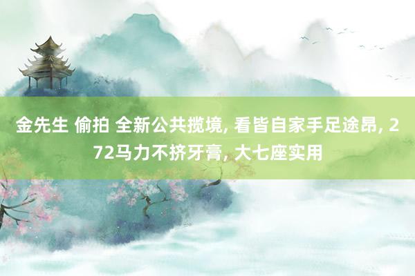 金先生 偷拍 全新公共揽境, 看皆自家手足途昂, 272马力不挤牙膏, 大七座实用